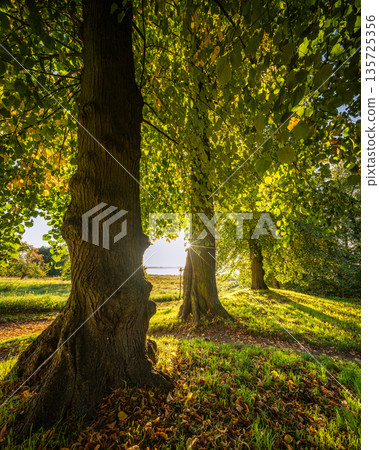Park Petzow close to Potsdam, Brandenburg, Germany Park Petzow close to Potsdam, Brandenburg, Germany 135725356