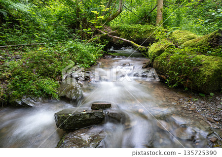 Creek, Eifel, Germany Creek, Eifel, Germany 135725390