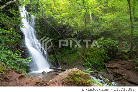 Klidinger waterfall, Eifel, Rhineland-Palatinate, Germany 135725392