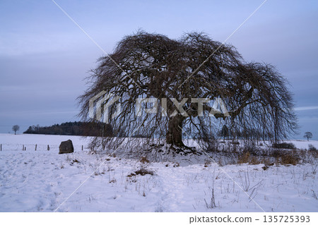 Blankenheim, Eifel, Germany Blankenheim, Eifel, Germany 135725393