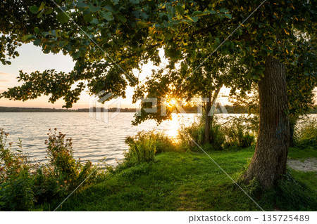 Schlaenitz lake close to Potsdam, Brandenburg, Germany 135725489