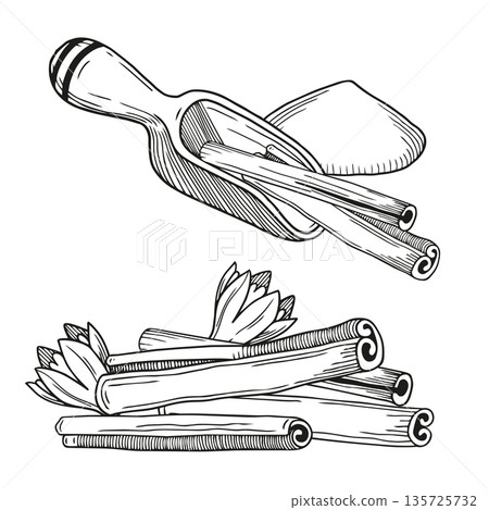Hand-drawn graphic illustrations of cinnamon sticks, flower and ground cinnamon powder and measuring spices spoon, detailed sketch 135725732
