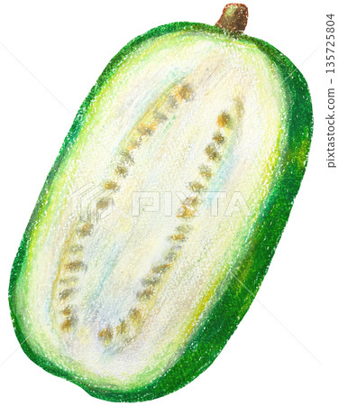 Winter melon cross section oil pastel drawing 135725804