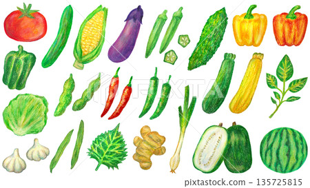 夏季蔬菜插圖套裝,油畫棒繪畫 夏季蔬菜插圖套裝,油畫棒繪畫 135725815