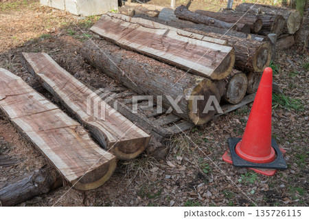 將倒下的樹垂直切成兩半 將倒下的樹垂直切成兩半 135726115