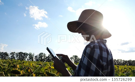 Female agronomist using digital tablet at sunflower meadow at sunny day. Adult farmer monitoring harvest at yellow flower field at sunset. Beautiful scenic landscape. Concept of agricultural business 135726299