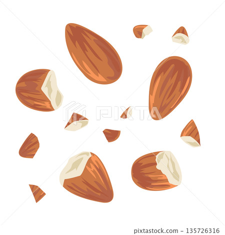 杏仁插圖,簡單的向量素材 杏仁插圖,簡單的向量素材 135726316