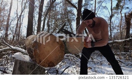 Shirtless bearded man sawing a log in sunny winter forest. Strong guy working with saw in snowy woodland. The scene highlights human effort and outdoor activity in cold conditions. Slow motion Shirtless bearded man sawing a log in sunny winter forest. Strong guy working with saw in snowy woodland. The scene highlights human effort and outdoor activity in cold conditions. Slow motion 135726321