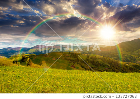 springtime weather in mountains at sunset. beautiful countryside landscape in evening light. grassy alpine meadow with yellow dandelions and lush grass for pasture. dynamic clouds on sky with rainbow springtime weather in mountains at sunset. beautiful countryside landscape in evening light. grassy alpine meadow with yellow dandelions and lush grass for pasture. dynamic clouds on sky with rainbow 135727068