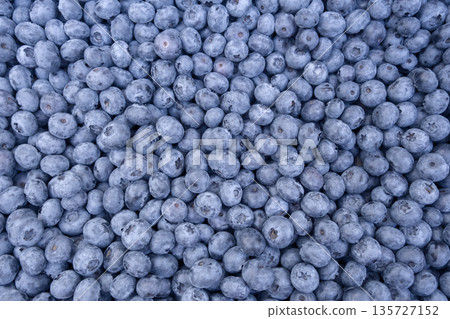 Fresh Delicious blueberries backgrounds. Texture of blueberry berries Fresh Delicious blueberries backgrounds. Texture of blueberry berries 135727152