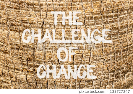 The challenge of chance symbol. Concept words phrase The challenge of chance on beautiful palm tree bark. Beautiful palm tree bark background. Business The challenge of chance concept. Copy space. The challenge of chance symbol. Concept words phrase The challenge of chance on beautiful palm tree bark. Beautiful palm tree bark background. Business The challenge of chance concept. Copy space. 135727247