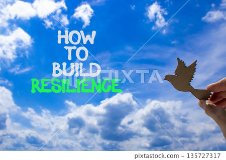 How to build resilience symbol. Concept words How to build resilience. Beautiful blue sky and clouds background. Businessman hand with wooden bird. Business how to build resilience concept. Copy space How to build resilience symbol. Concept words How to build resilience. Beautiful blue sky and clouds background. Businessman hand with wooden bird. Business how to build resilience concept. Copy space 135727317