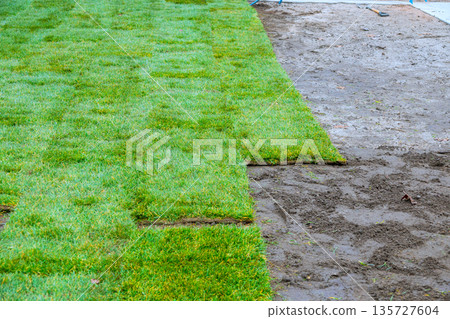 Workers are placing fresh grass pieces on bare soil in yard in residential area task is being done lines of grass. Workers are placing fresh grass pieces on bare soil in yard in residential area task is being done lines of grass. 135727604
