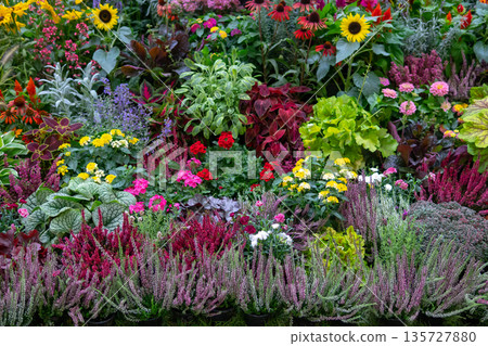 Wall of flowers and herbs. Wall of flowers and herbs. 135727880