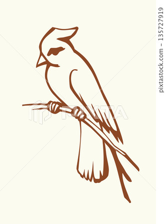 Vector drawing. Bird on white sky backdrop. 135727919