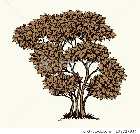 Vector drawing. Big green bush Vector drawing. Big green bush 135727934