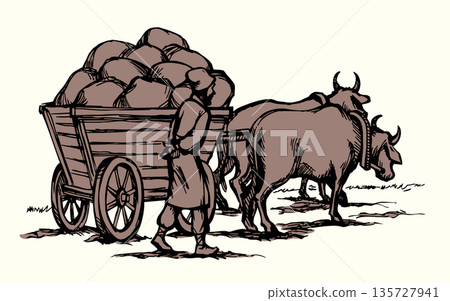 Vector drawing. Ancient cart with cows 135727941