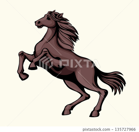 Vector drawing. Man on the horse Vector drawing. Man on the horse 135727966