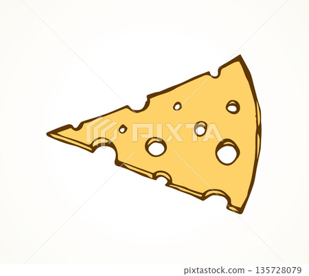 Slice of cheese. Vector drawing 135728079