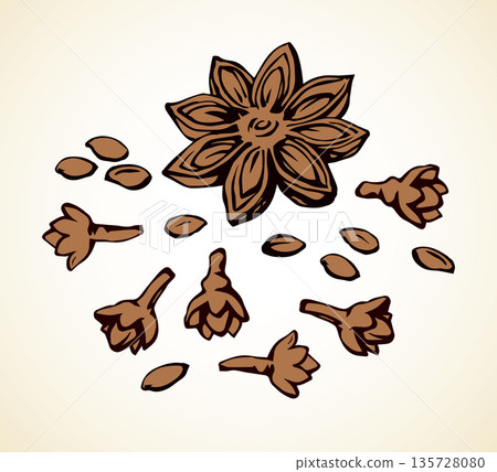 Anise. Vector drawing 135728080