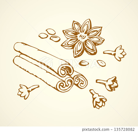Anise. Vector drawing Anise. Vector drawing 135728082