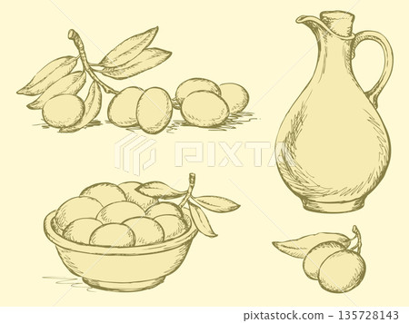 Vector outline. Olive oil in jar and harvest olives Vector outline. Olive oil in jar and harvest olives 135728143