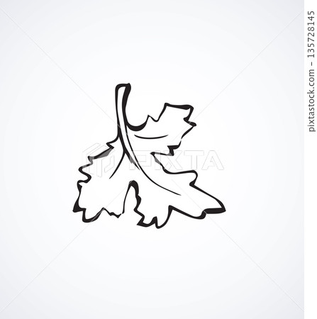 Leaf of grapes. Vector drawing Leaf of grapes. Vector drawing 135728145