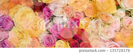 Pink, yellow, red and orange roses. Pink, yellow, red and orange roses. 135728178
