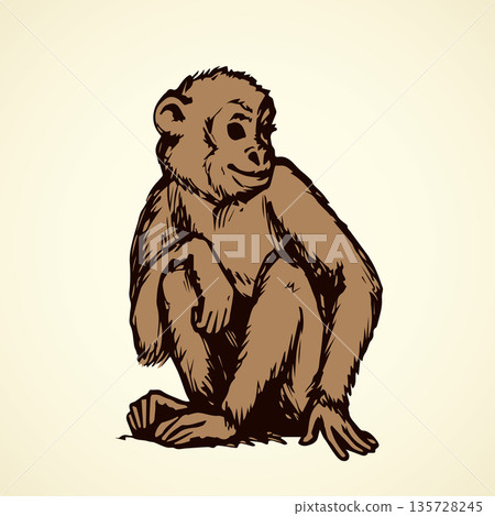 Chimpanzee. Vector illustration 135728245