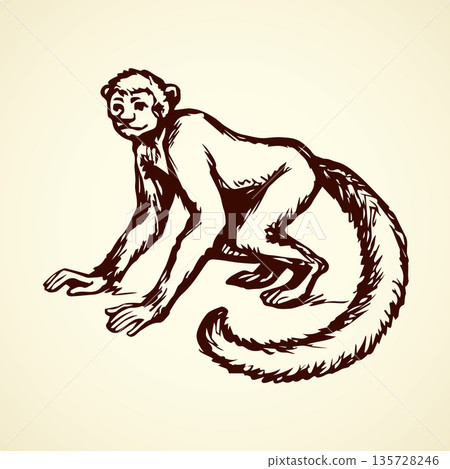 Lemur. Vector illustration 135728246