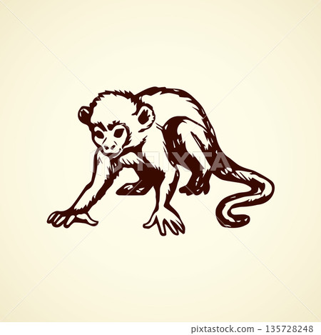 Chimpanzee. Vector illustration 135728248