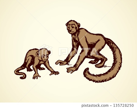 Lemur. Vector illustration 135728250