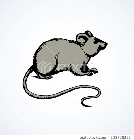 Mouse. Vector drawing Mouse. Vector drawing 135728251