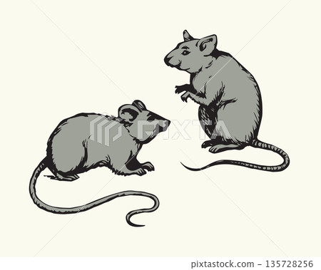 Mouse. Vector drawing 135728256