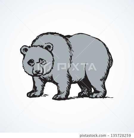 Panda. Vector drawing Panda. Vector drawing 135728259