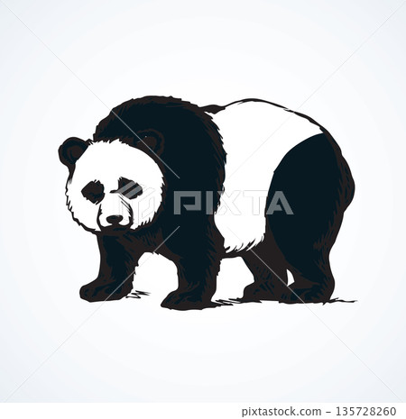 Panda. Vector drawing - Stock Illustration [135728260] - PIXTA