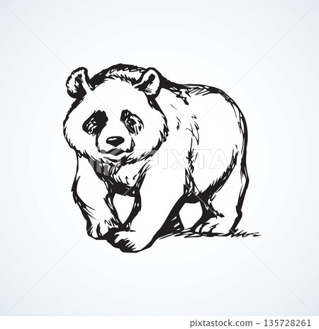 Panda. Vector drawing 135728261
