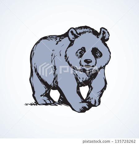 Panda. Vector drawing Panda. Vector drawing 135728262