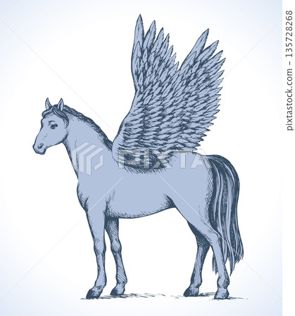 Pegasus. Vector drawing Pegasus. Vector drawing 135728268