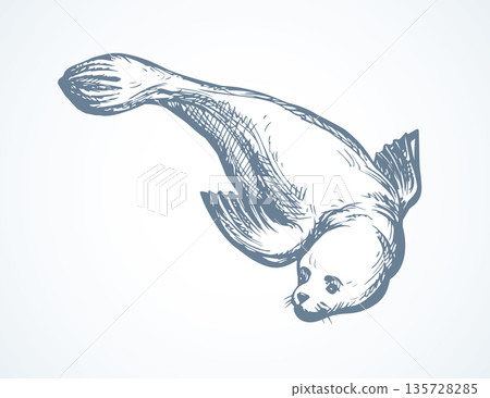 Seal. Vector drawing 135728285