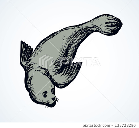 Seal. Vector drawing Seal. Vector drawing 135728286