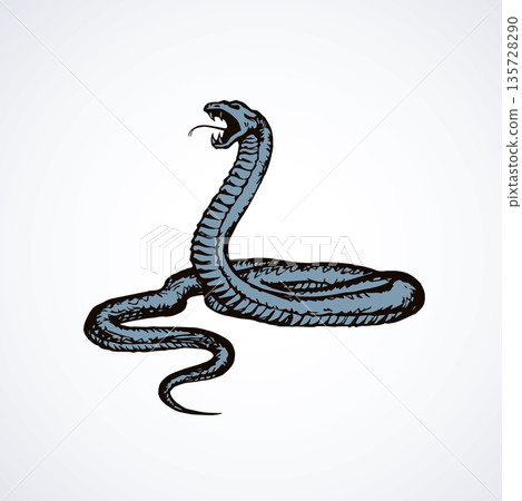 Snake. Vector drawing 135728290