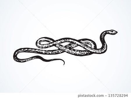 Snake. Vector drawing 135728294