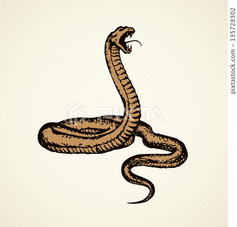 Snake. Vector drawing 135728302
