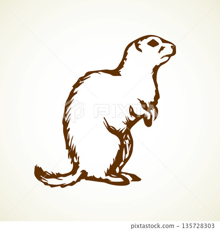 Groundhog. Vector illustration 135728303