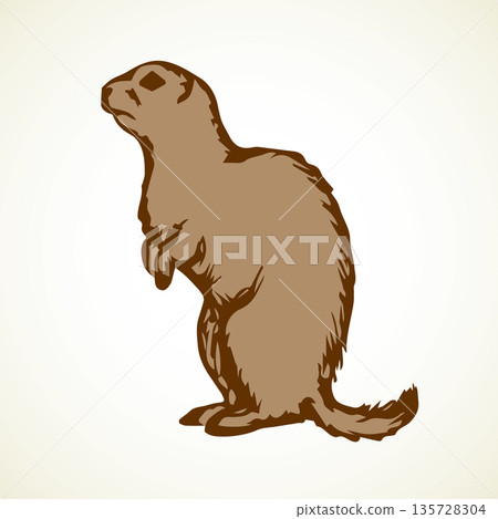 Groundhog. Vector illustration 135728304