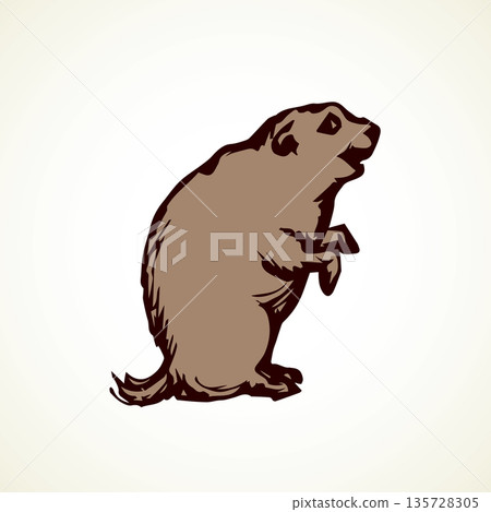 Groundhog. Vector illustration 135728305