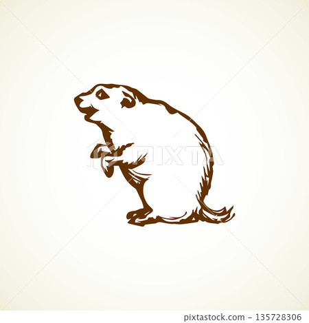 Groundhog. Vector illustration Groundhog. Vector illustration 135728306