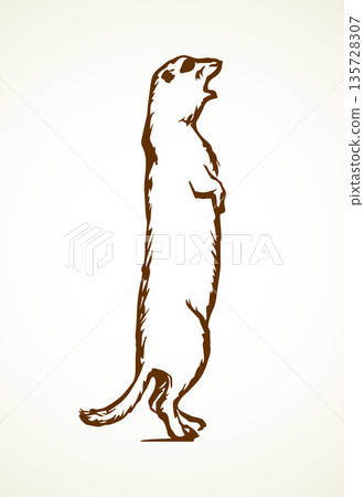 Groundhog. Vector illustration Groundhog. Vector illustration 135728307