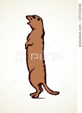 Groundhog. Vector illustration Groundhog. Vector illustration 135728308